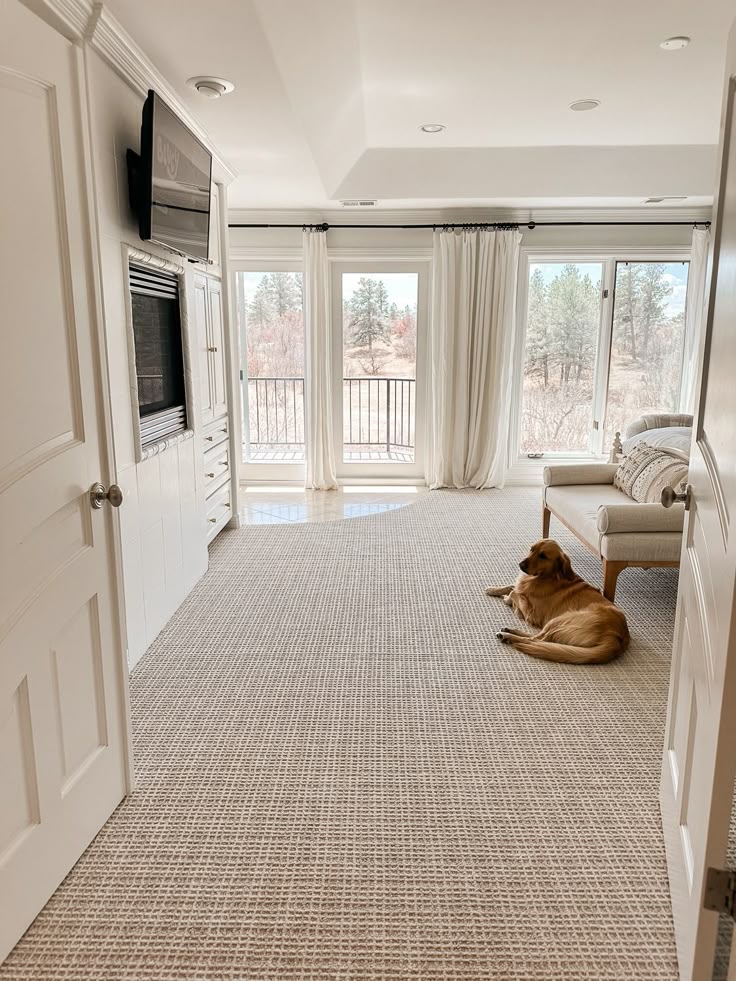 wall to wall carpet
